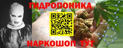 стаф Канаш
