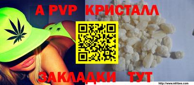 стаф Канаш