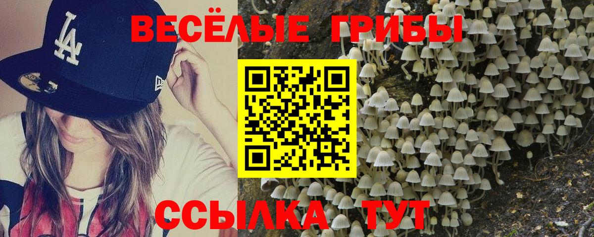 что такое наркотик  Галлюциногенные грибы MAGIC MUSHROOMS  Вход с VPN  Балашов  Галлюциногенные грибы MAGIC MUSHROOMS 