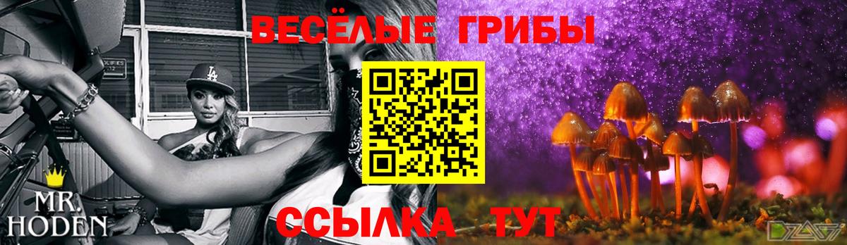 Псилоцибиновые грибы MAGIC MUSHROOMS Балашов
